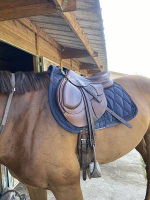 Sella da cross time rider  17