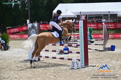 Magnifico pony 11 anni