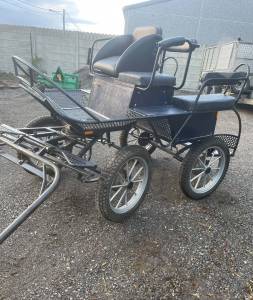 Voiture d’attelage type marathon 