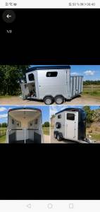 Transport / location van 2 chevaux bockmann 