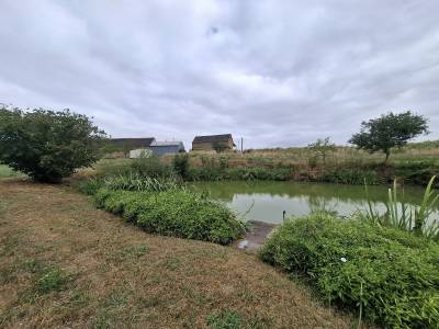 Propriété équestre à fort potentiel  plus de 10 hectares