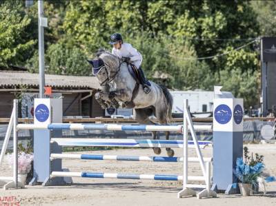 Grand avenir pour cet hongre de 7 ans gros moyen