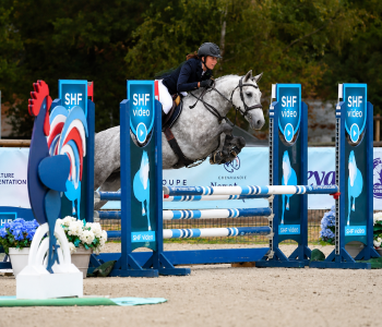 Pfs 4 ans top concours( location possible )