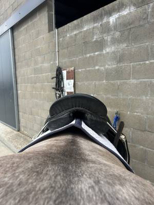 Selle de dressage sellier j.craessaerts 
