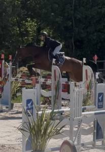 JUMENT Prénium CSO 125/130 - Balou du Rouet x Nonstop