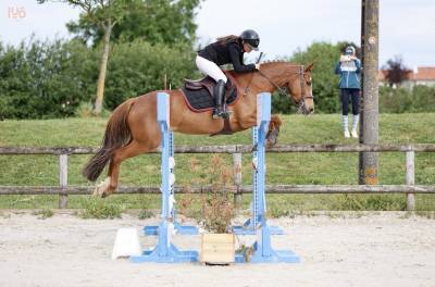 Merrie Franse rijpony PFS Te koop 2020 Vos ,  VOLUPTO DES BOURDONS