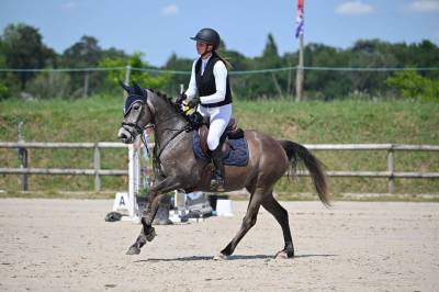 Merrie Franse rijpony PFS Te koop 2022 Schimmel ,  JIMMERDOR DE FLORYS PFS