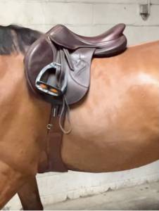 Selle antarès connexion 17,5 – 3a+2 – 2022