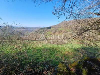 Ensemble de parcelles en diverses nature sur 16 ha 50