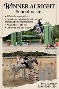 Pony Schoolmaster 