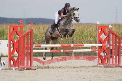 Jument 8ans par casall