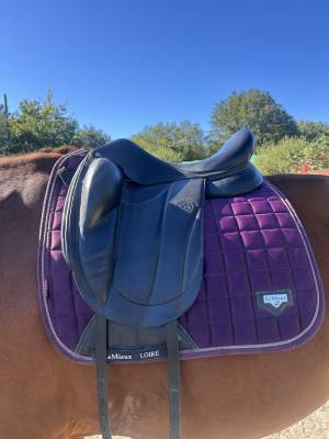 Selle dressage forestier aachen 17,5