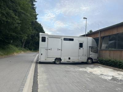 Camion per cavalli mercedes  2001 occasione