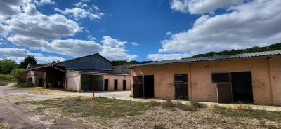 HARAS &ndash; 26 HA &ndash; 40 BOXES &ndash; YONNE