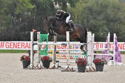 Top cheval amateur 