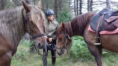 Cavalla tiro breton in vendita 2017 sauro brulé