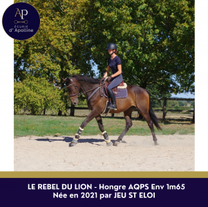 Aqps 5 ans beau modèle 