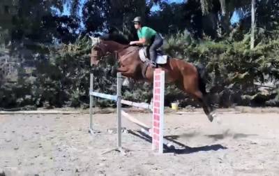 Castrone salto
