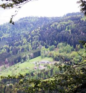 projet a reprendre et à perdurer
