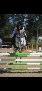Vendo pony francese