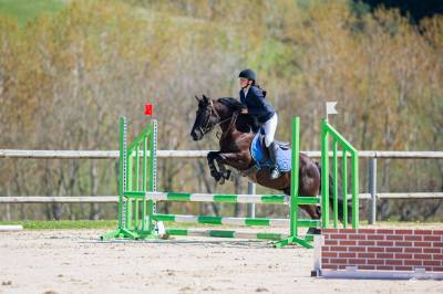 Ruin Franse rijpony PFS Te koop 2021 Zwart ,  Carlisto d'&eacute;t&eacute;