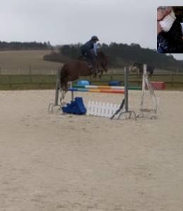 Ponette nf 146cm, 5 ans moyens pour les as.