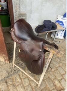 Selle gbs