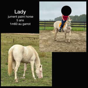 Jument paint-horse 5ans 