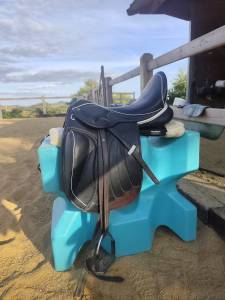 Sella da dressage   17.5
