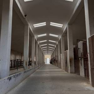     ? cercasi istruttore 2° livello – foggia