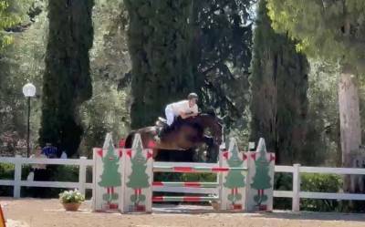 Cavallo salto ostacoli 