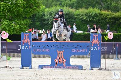 Cheval à vendre de 13 ans saute 1.40-45 