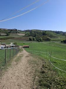 Pensione naturale per cavalli a riposo