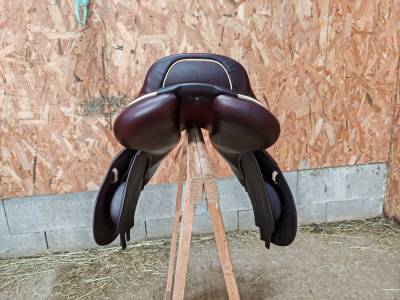 Selle cwd de 2024 en 16.5