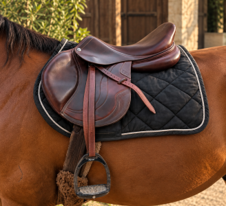 Sella mista cwd  17