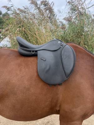 Altra sella norton  17.5