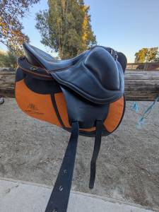 Sella da endurance gaston mercier  17