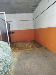 Box disponible - ecurie du pralet - la coudre