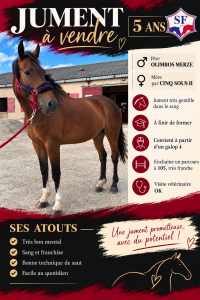 Jument 5 ans sf 