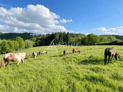 Propriété équestre 20ha proche castres