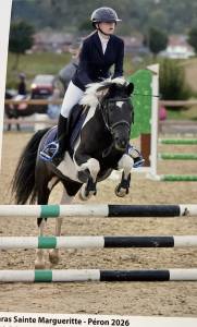 à louer - ponette 10 ans