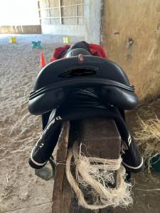 Selle équipe taille 18 modèle ek go carbone