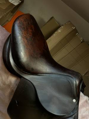 Selle antarès confort obstacle / mixte havane т.17p ann
