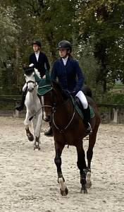Vendita/noleggio cavallo da salto 12 y.o