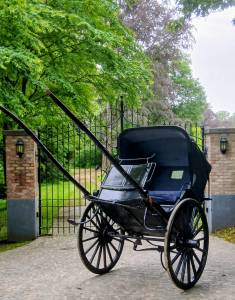 Coche enganches - Calesa Buggy de docteur