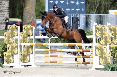 Hongre cso de 9 ans pour cavalier ambitieux