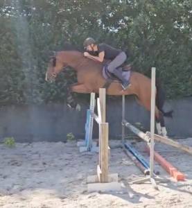 A confier ou à vendre