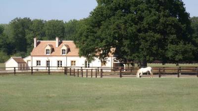 Sologne : propriété équestre de charme 