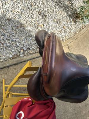 Selle cwd 