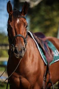 Georges - 3ans (4 en janvier) - 1m62